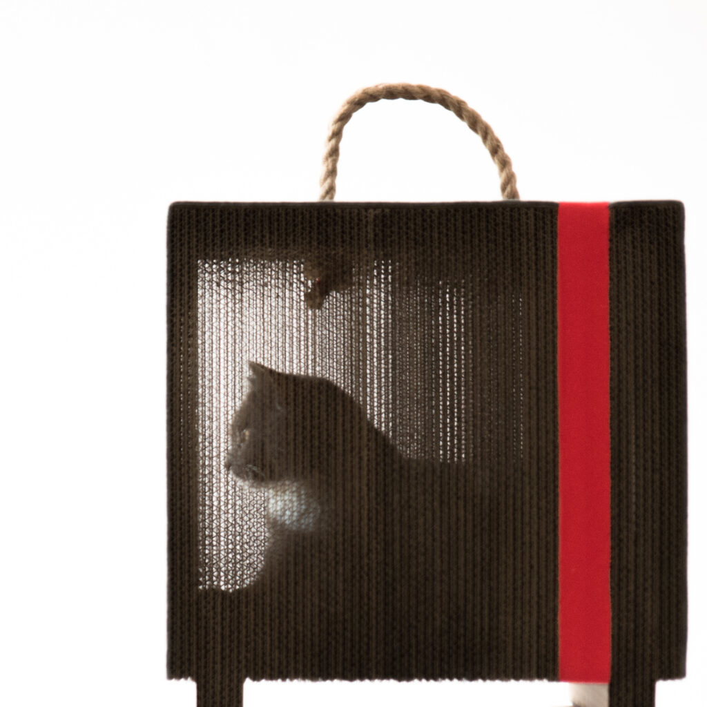 MIOOU – furniture for cats